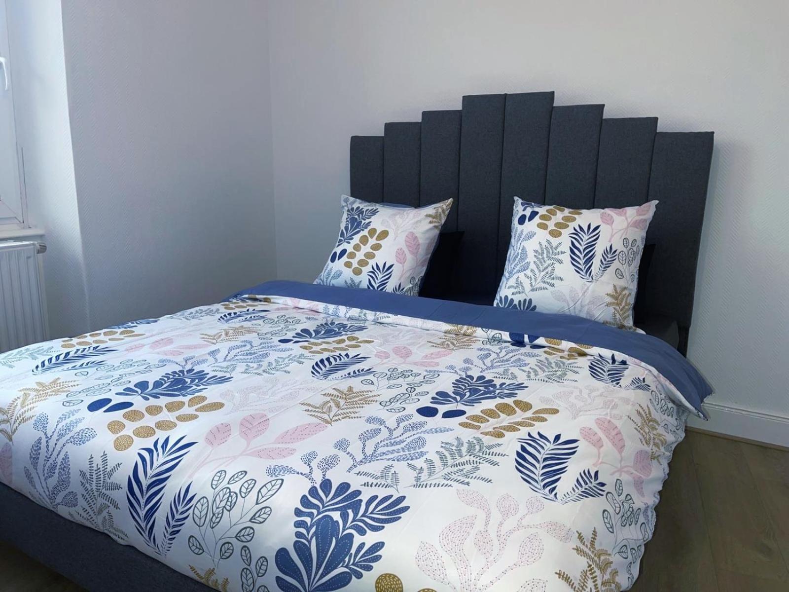 Magnifique Appartement Charmant T3 80M2 Parking Gratuit Rosheim Luaran gambar